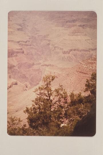 View up Bright Angel Creek from over the South Rim when flying from Grand Canyon Airport to Kanab