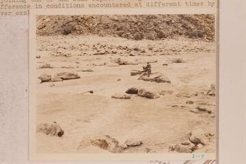 Dusty Dozen lining the lower end of Badger Creek. The water was clear due to the very low flow