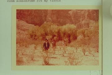 Cottonwood at spring in Meriwitica Canyon