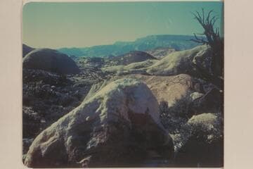 Looking down Black Water Canyon from the trail to Rainbow Bridge near the northern fork of the drainage