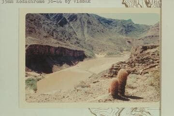 Down from about Mile 223.5, right bank