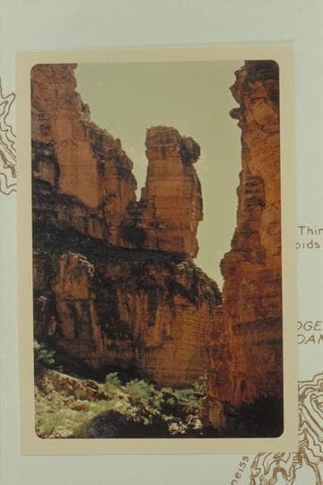 The Owl up Separation Canyon