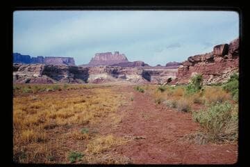 Air strip, Anderson Bottom
