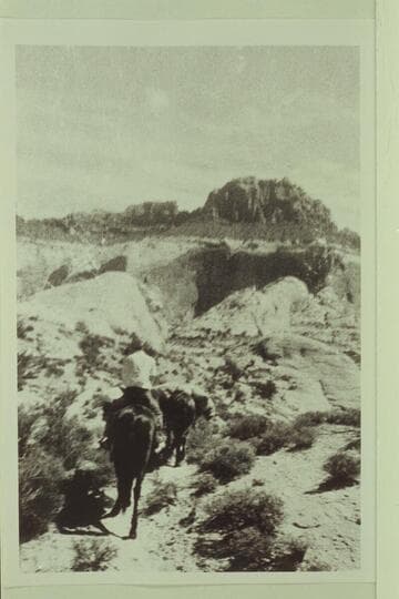 Trail to Surprise Valley.  Rust party.  6069 is upper right