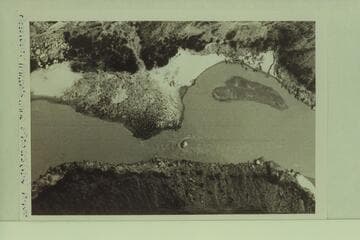 President Harding Rapid