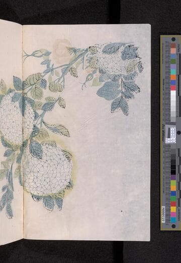 芥子園畫譜. Pt. 3