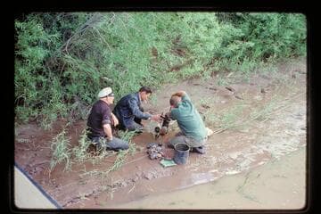 Repairs, MGM