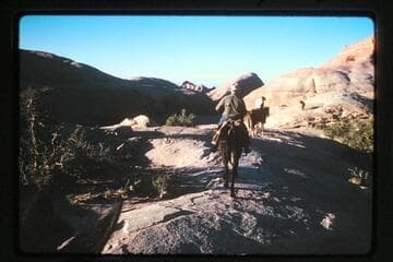 Trail Black Water Creek to basin north of Sid Whiskers Butte