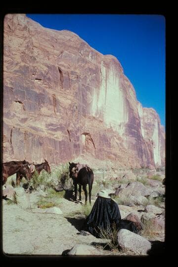 Archeyes changes film