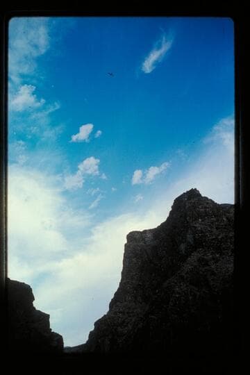 Plane over camp, Mile 231.75, left bank