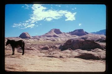 Across Moepitz Canyon