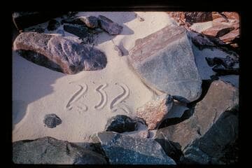 Camp, Mile 231.75, left bank, #232 on beach