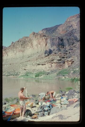 Rigging yaks; Whitmore Trail