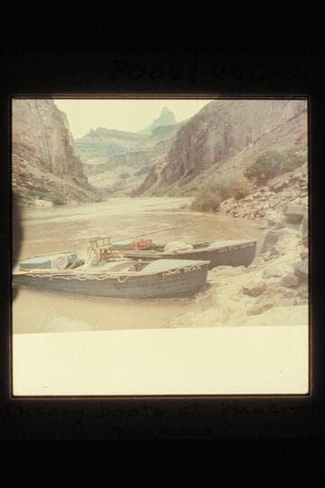 Disney boats at head of Hance Rapid