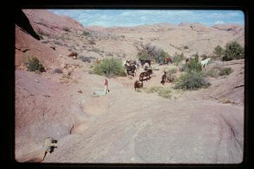 Dead Center Camp west of Nasja Creek