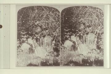 "View on Boulder Creek"; A Beaver Dam