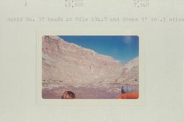 Head of Rapid No. 37