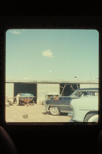 "Cactus" at Fredonia