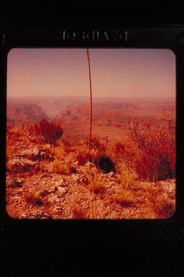 Shivwits, Lake Mead
