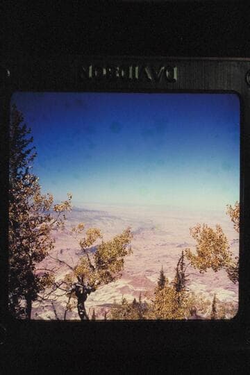 Fifty Mile Mountain from Navajo Mountain