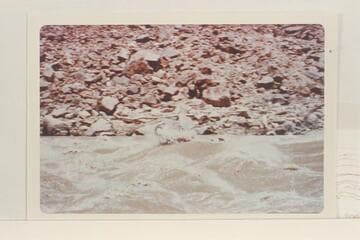 10-man inflated unit in rapid at Mile 204.2 in Mile Long Rapid