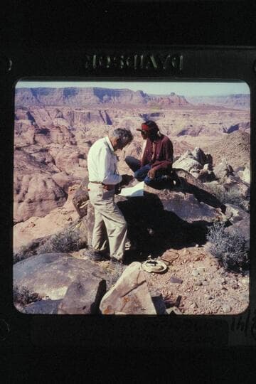 Doerr and Whitehat