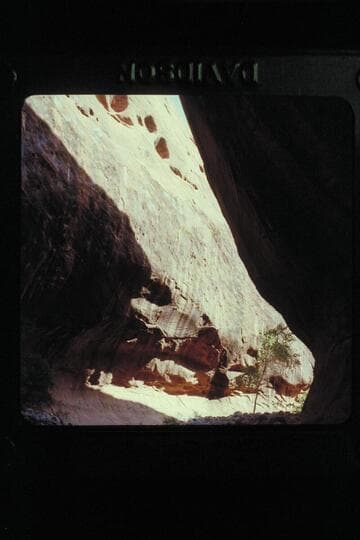 Black Water Creek (K. Lee)