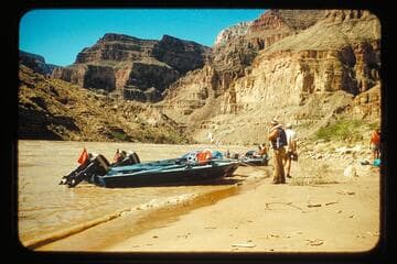 Cactus, Bootoo, and Rattlesnake
