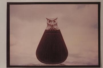 A Floating Owl.  Photo Masterpiece by Harry Aleson
