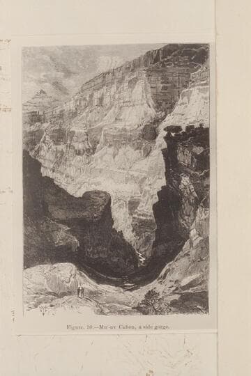 Muav Canyon, drawn by Moran.  Figure 30 in Powell's 1875 Report. Probably in 1873 or from Hillers photo of 1873