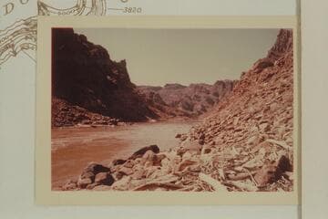 Down from head of Rapid #7