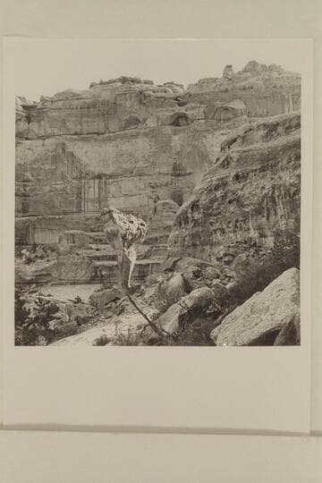 Mushroom and arches in Pegasus Canyon.  The arches high on the cliff are probably stream cut and might be classified as bridges