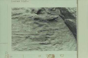 DJ 1838 inscription in Whirlpool Canyon