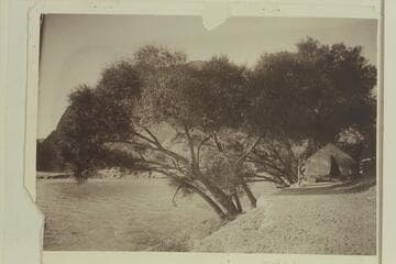 First camp on Colorado River at head of Boulder Canyon.  Here drilling was done and sounding made before moving to Black Canyon where Dam is located