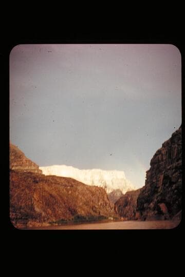 G.C. 1955