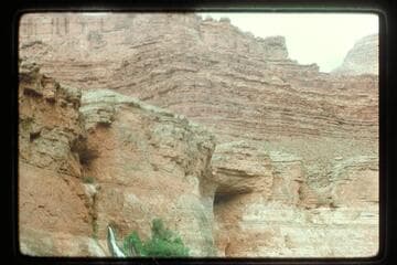 Up to Vasey's Paradise