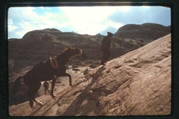 Trail west of Nasja Creek