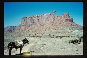 Across Horsethief Canyon near its mouth