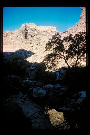Trail down to Horsethief Canyon