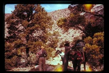 Camp in Black Water Creek