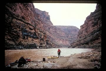 Down from fan at Clearwater