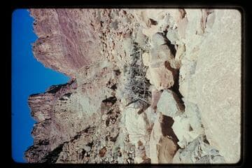 Side Canyon, Mile 209.6, right bank