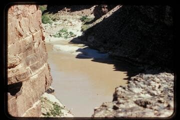 Butchart floating down river