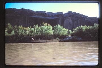 Boats moored at Anderson Bottom