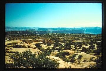 Junction Bottom; Blues