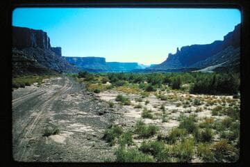 Down in Labyrinth Canyon