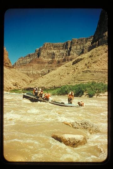 "Kitty" in rocks; Little Colorado