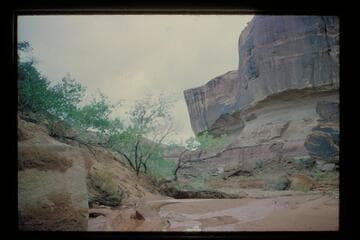 Down Roost Canyon