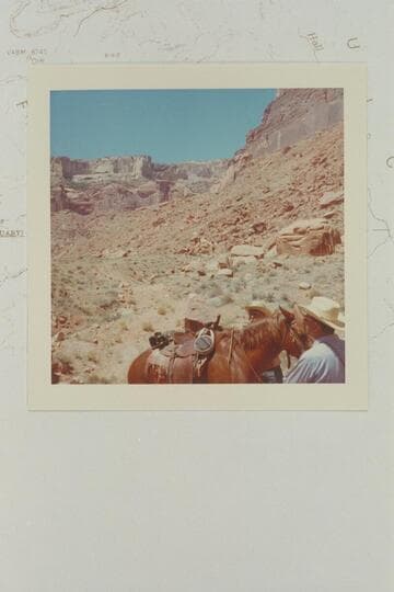 Near the end of the road at the head of Millers Canyon which is tributary to Hall Creek