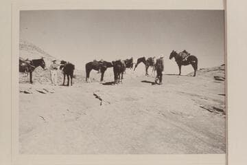 On bald rock east of Lehi Fork of Anasazi Canyon
